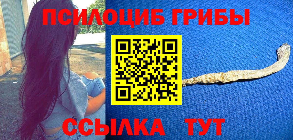 Галлюциногенные грибы мицелий  Вход с VPN  Ахтубинск 