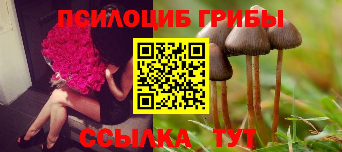 Псилоцибиновые грибы мухоморы Ахтубинск
